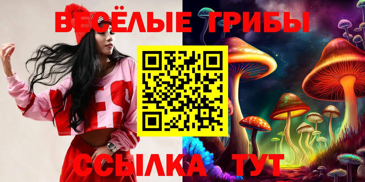 Галлюциногенные грибы Psilocybine cubensis Корсаков