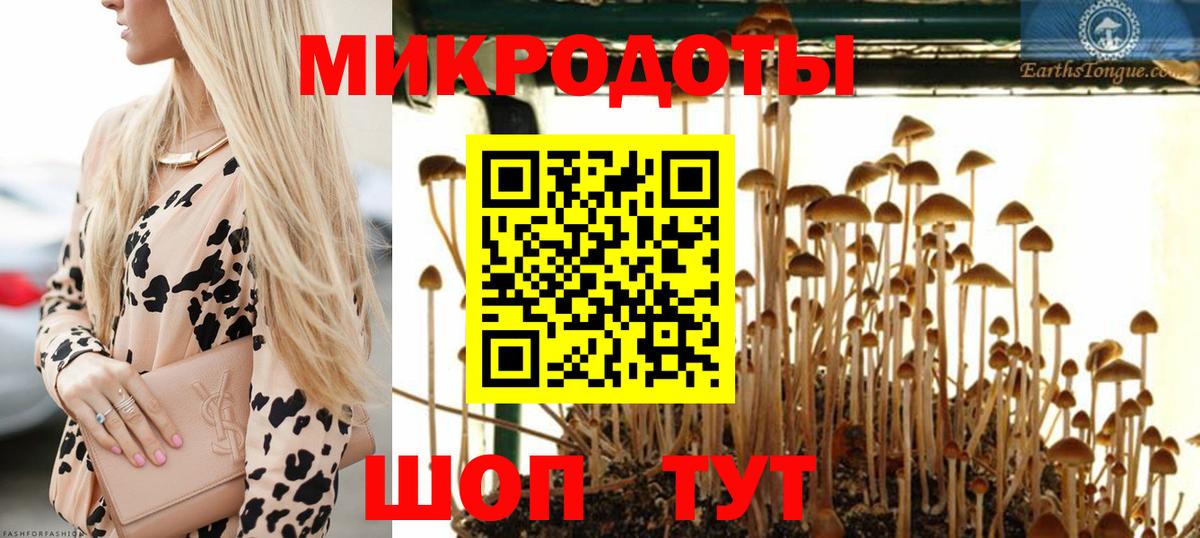 купить наркотик  Псилоцибиновые грибы Magic Shrooms  Вход с VPN  Корсаков  Псилоцибиновые грибы мицелий 